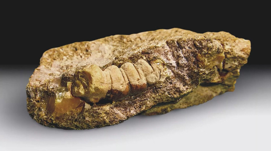 Фото Калининградского янтарного комбината