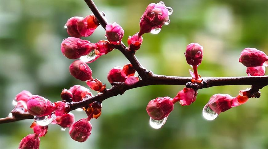 Фото Синьхуа