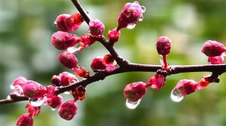 Фото Синьхуа