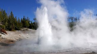 Фото из архива MA Bellingham