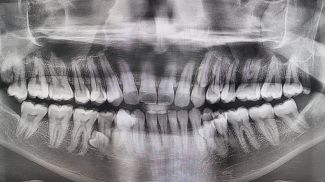 Фото Guinness World Records