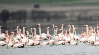 Фото Агентства Анадолу