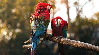 Фото Unsplash