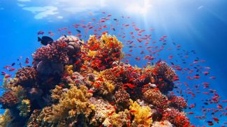 Фото Shutterstock