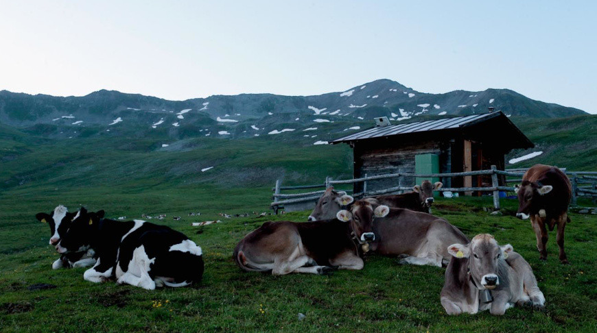 Фото Getty Images