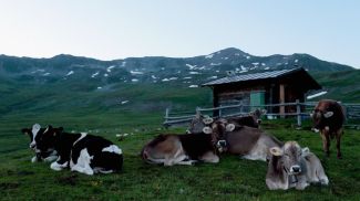 Фото Getty Images