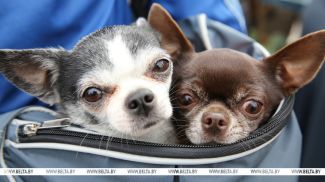 Фото из архива