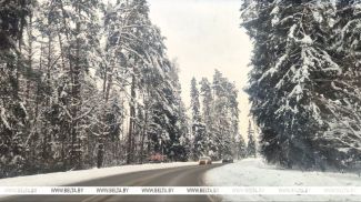 Фото из архива