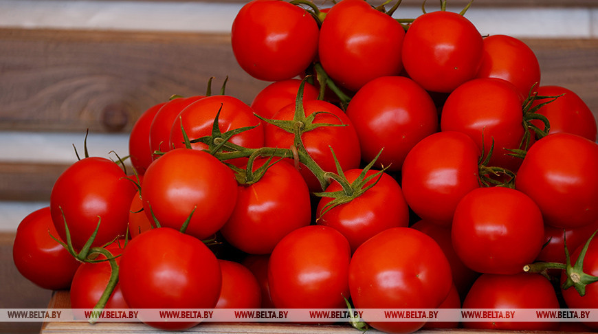 Фото из архива