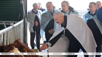 Александр Лукашенко во время посещения молочно-товарного комплекса "Устенский" в Оршанском районе, октябрь 2021 года