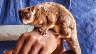 Фото соцсети