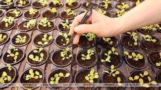 Фото из архива