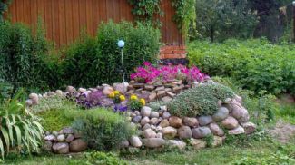 Фото соцсети