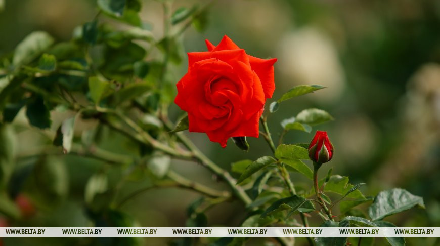 Фото из архива