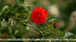 Фото из архива