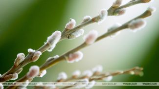 Фото из архива