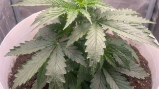 Скриншот видео ГУВД Мингорисполкома