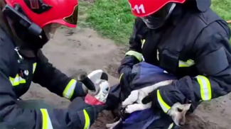 Скриншот видео МЧС