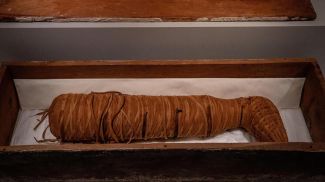 Фото Global Look Press