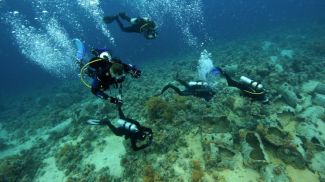 Фото  РИА Новости 