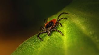 Фото Pexels