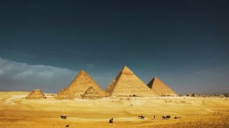 Фото Pexels