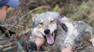 Фото из архива