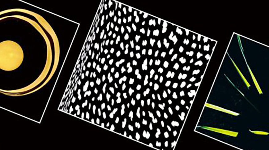 Фото shchemelev-gallery.museum.by