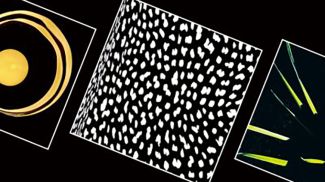 Фото shchemelev-gallery.museum.by