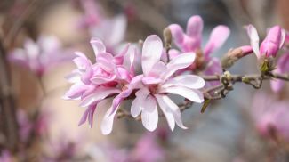 Фото из архива