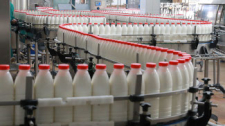 Качество решает. Как развивается молочная отрасль в Беларуси