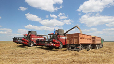 В Беларуси установилась жара: как ее переносят сельхозкультуры   