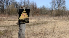 Как в Беларуси изменяются подходы к радиационной защите спустя 37 лет после аварии на ЧАЭС