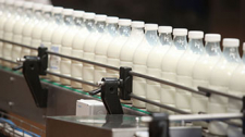Новые товарные позиции и перспективные рынки. Как Беларусь наращивает экспорт молочной продукции
