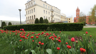 Город-парк. Как в Минске сохраняют зеленые зоны и какие территории могут стать памятниками природы