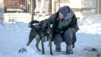 "Собаки не рождаются злыми". Как бывший кинолог МВД создал "Мечту" для спасения животных