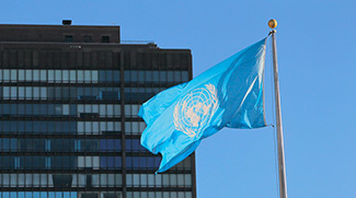 О назначении спецдокладчиком ООН и негативе от санкций в условиях пандемии