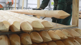 Правила реализации древесины вскоре обновят. Какие новшества ждут рынок, пояснил Минлесхоз