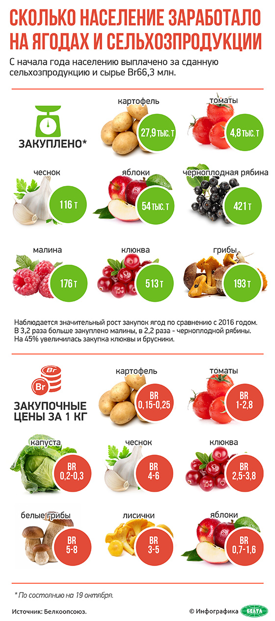 Сколько население заработало на ягодах и сельхозпродукции