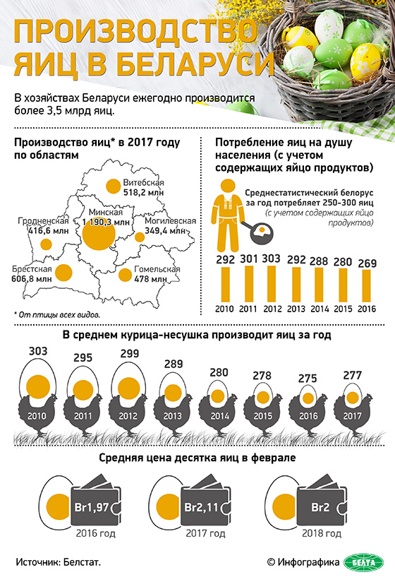 Производство яиц в Беларуси