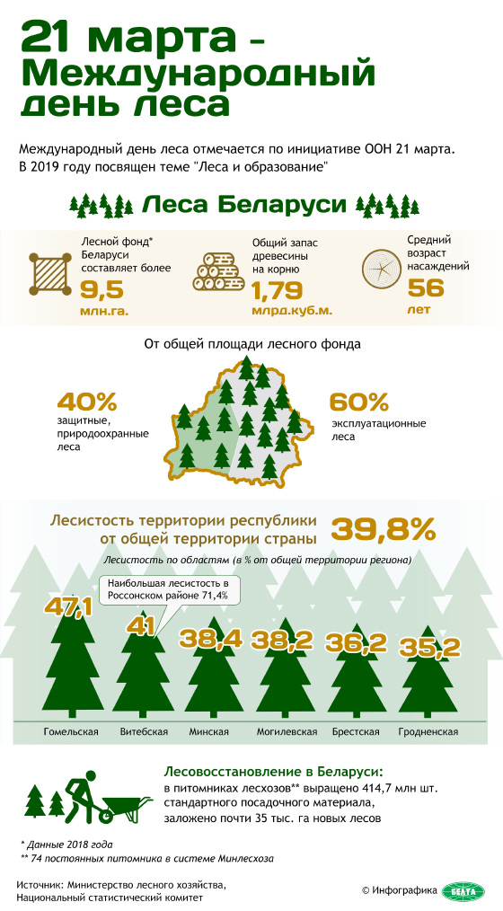 21 марта - Международный день леса