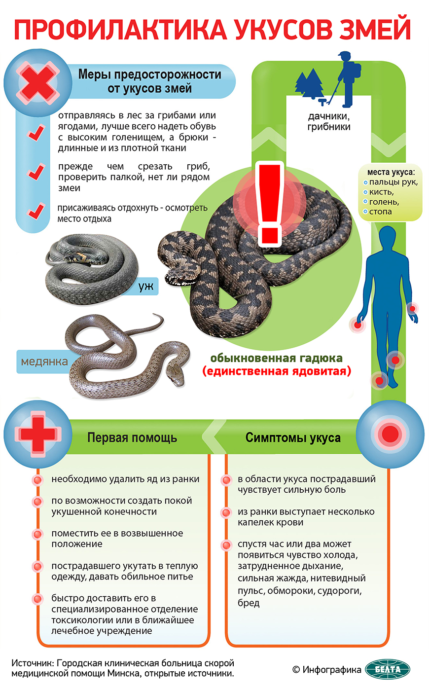 Профилактика укусов змей