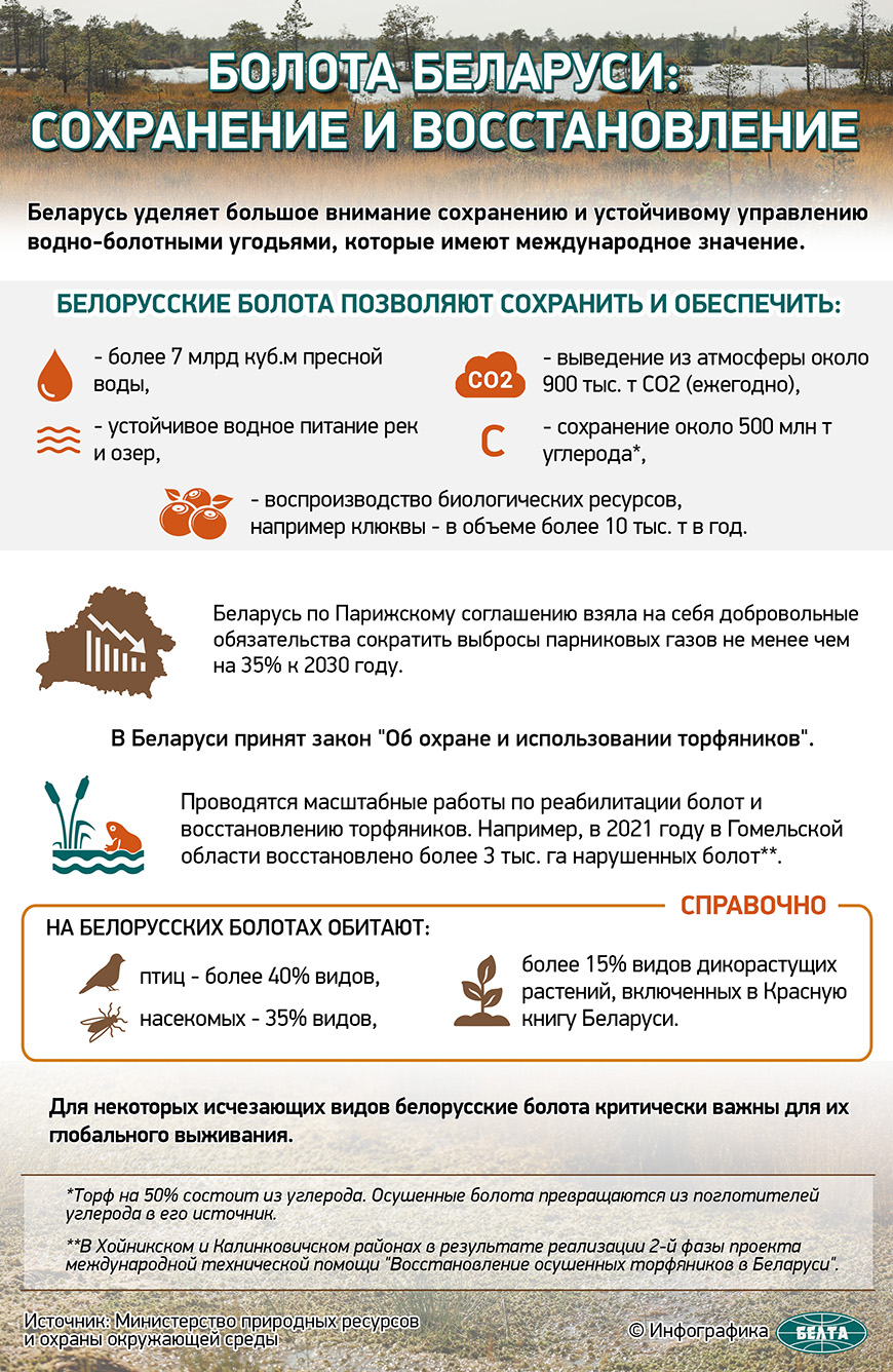 Болота Беларуси: сохранение и восстановление