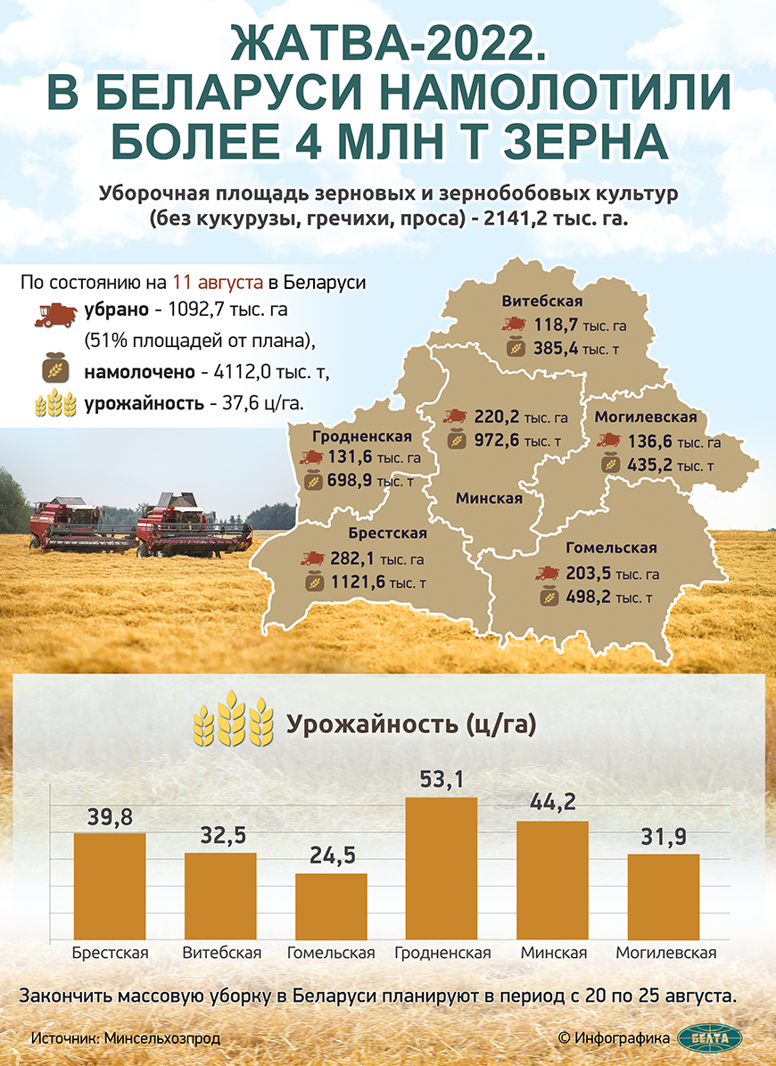 Жатва-2022. В Беларуси намолотили более 4 млн т зерна