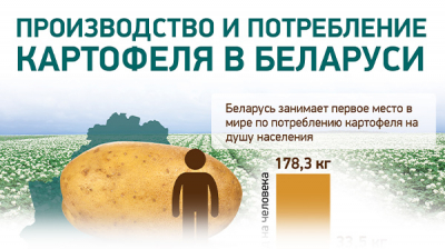 Производство и потребление картофеля в Беларуси