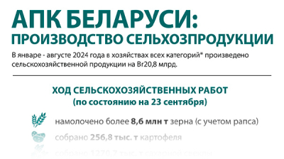 АПК Беларуси: производство сельхозпродукции   