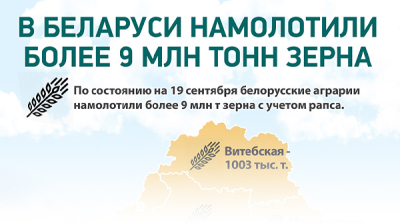 В Беларуси намолотили более 9 млн тонн зерна