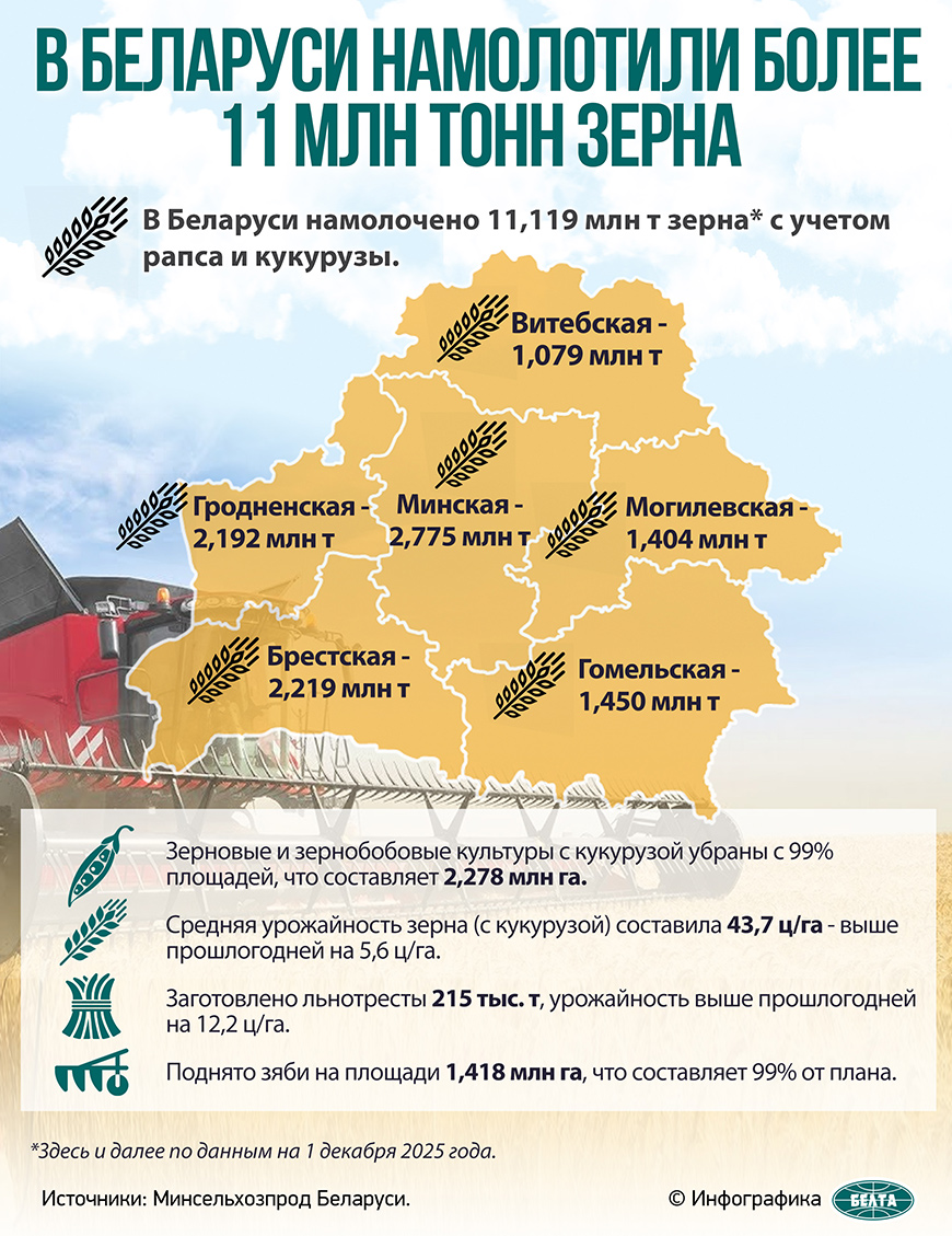 В Беларуси намолотили более 11 млн тонн зерна 