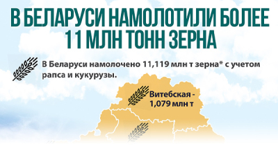 В Беларуси намолотили более 11 млн тонн зерна 