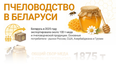 Пчеловодство в Беларуси